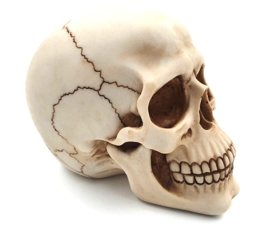 Czaszka Dekoracyjna Figurka 15 cm z Polyresinu z Możliwością Personalizacji Grawerem