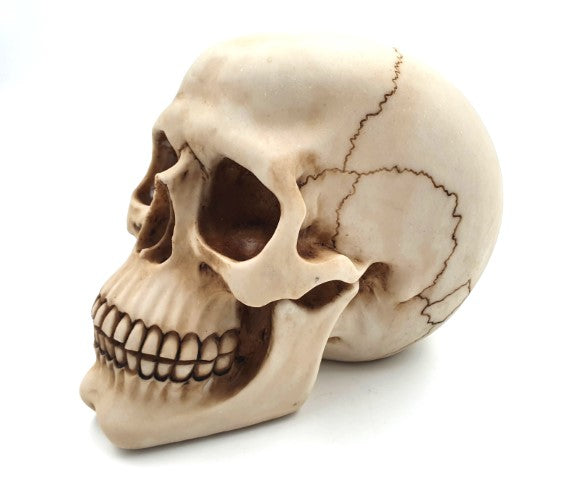 Czaszka Dekoracyjna Figurka 15 cm z Polyresinu z Możliwością Personalizacji Grawerem