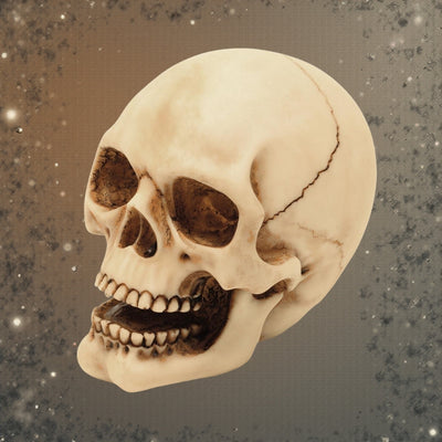 Figurină craniu 10 cm, cu posibilitate de gravură - decorațiune pictată manual din polirășină, pentru cadou pentru iubitorii stilului gotic și dark