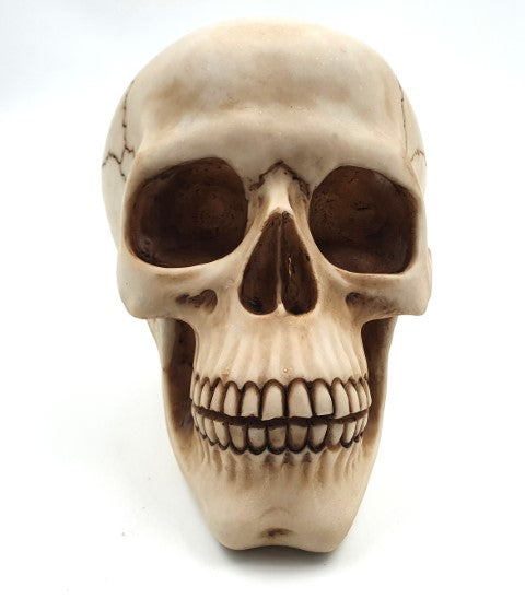 Czaszka Dekoracyjna Figurka 15 cm z Polyresinu z Możliwością Personalizacji Grawerem