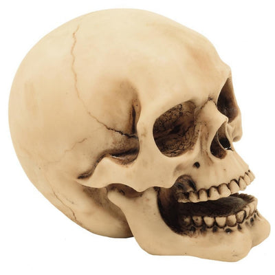 Figurină craniu 10 cm, cu posibilitate de gravură - decorațiune pictată manual din polirășină, pentru cadou pentru iubitorii stilului gotic și dark