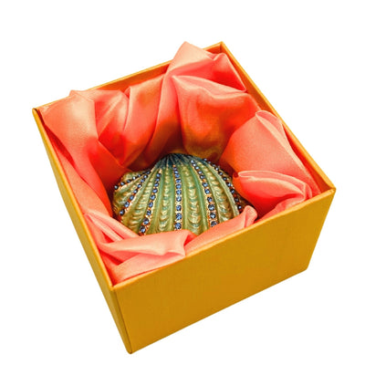 Shell Jewelry Box with Crystals