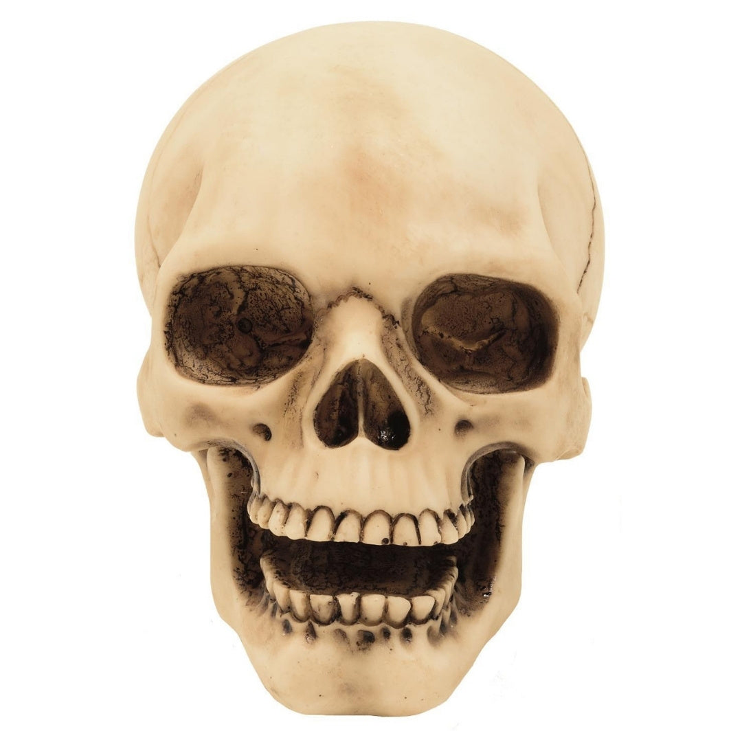 Figurină craniu 10 cm, cu posibilitate de gravură - decorațiune pictată manual din polirășină, pentru cadou pentru iubitorii stilului gotic și dark