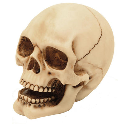 Figurină craniu 10 cm, cu posibilitate de gravură - decorațiune pictată manual din polirășină, pentru cadou pentru iubitorii stilului gotic și dark