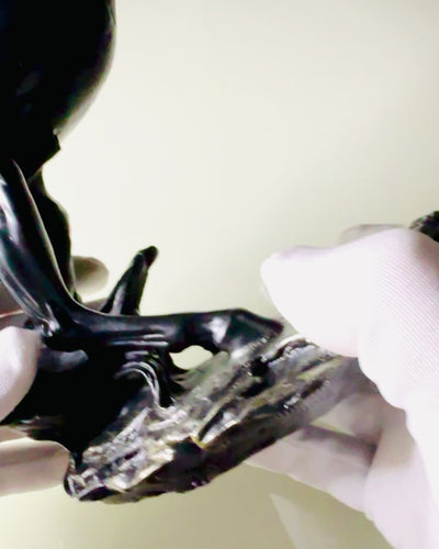 Czarna Perła - Sculptura Calului Eleganță în Mișcare - Posibilitate de Gravare