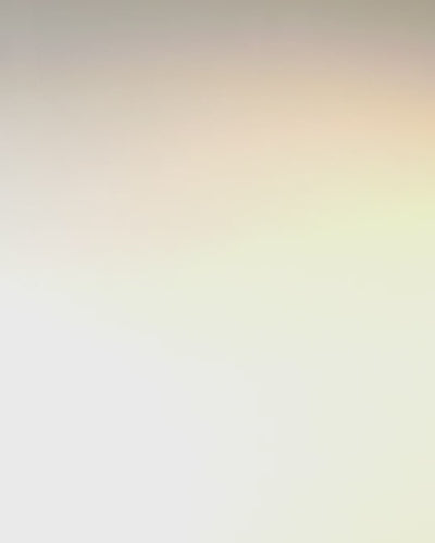 Geantă de Umăr Pătrată "Królewski Ryk" cu Cap de Leu